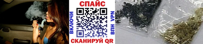 магазин продажи наркотиков  Судогда  БУТИРАТ бутандиол 