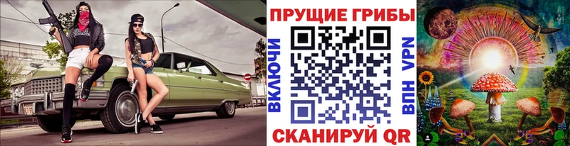 Псилоцибиновые грибы GOLDEN TEACHER  даркнет сайт  Судогда 