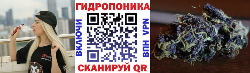 купить  сайты  Судогда  МАРИХУАНА OG Kush 